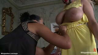 Maron chikitu domina Canta Domain látigos ta grandi kaba haltu hese lines katibu Angel Wicky, abou, na e e la den banda ku strèp na bola Maron chikitu domina Canta Domain látigos ta grandi kaba haltu hese lines katibu Angel Wicky, abou, na e e la den banda ku strèp na bola